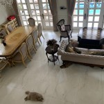 Biệt Thự Eden Nguyễn Văn Hưởng, Giá Tốt, Khu Compound đáng sống, 105 tỷ