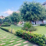 Biệt thự giá tốt MT ngay Nguyễn Văn Hưởng, DT 14x23m, đang cho thuê, chỉ 168.8tr/m2 TL