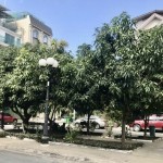 Cần bán gấp Biệt thự Hầm 4 Tầng - Thang máy, MTNB Trần Não, gần sông, thoáng mát