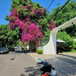 DT 308m2, khuôn biệt thự đẹp, ngay trục Trần Não, giá tốt