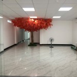 Gía đầu tư ! Building 586/8 Cộng Hòa_Tân Bình 6.2x30m 6Tầng_HĐT 100TR_Chỉ 35 tỷ