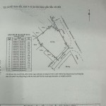 Góc 2 Mặt Tiền Lưu Đình Lễ - Lương Định Của, 13xx5m 348m2 95 tỷ, Xây Building Tuyệt Vời