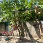 Khuôn biệt thự đẹp, đường nội bộ Trần Não, DT 10x30m - 305m2, đơn giá tốt