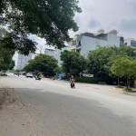 Mặt Tiền Trần Lựu, An Khánh, 5x20m. 30 tỷ, Đường Đẹp