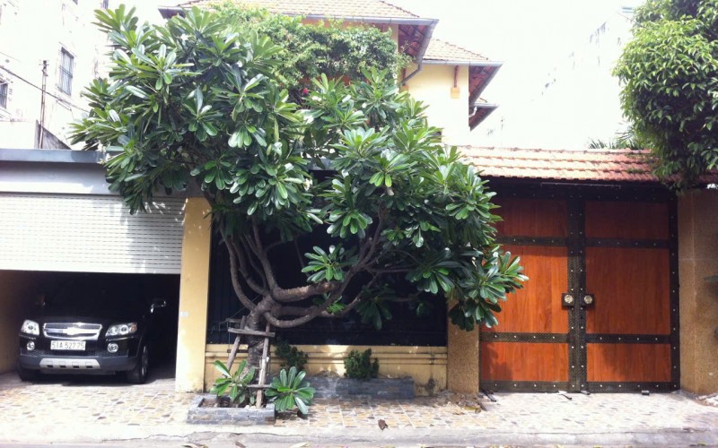 Bán biệt thự ngay Sân Bay 50 Ngô Bệ_Tân Bình DT: 12x29m Gía chỈ 65 TỶ SIÊU ĐẸP