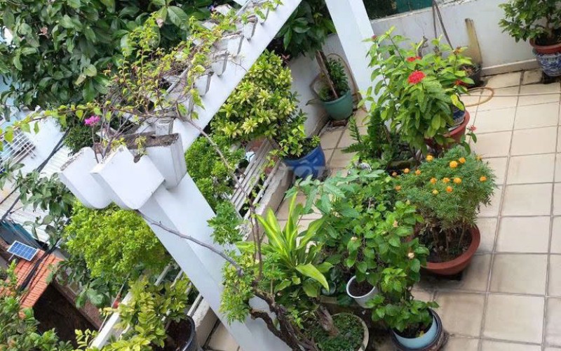 Chờ Chủ Nhân ! Bán nhà ngay Mặt Tiền Nguyễn Trọng Tuyển Quận Tân Bình. 6m x 19m nở hậu 11m. 3 Tầng. Giá 27 tỷ thương lượng