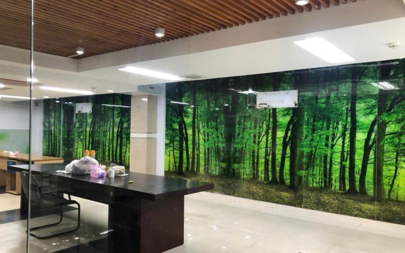 Tòa Nhà Văn Phòng 20 Bùi Thị Xuân, 10m x 20m, Hầm 5 Tầng, Ngay Khu Sân Bay Tân Bình